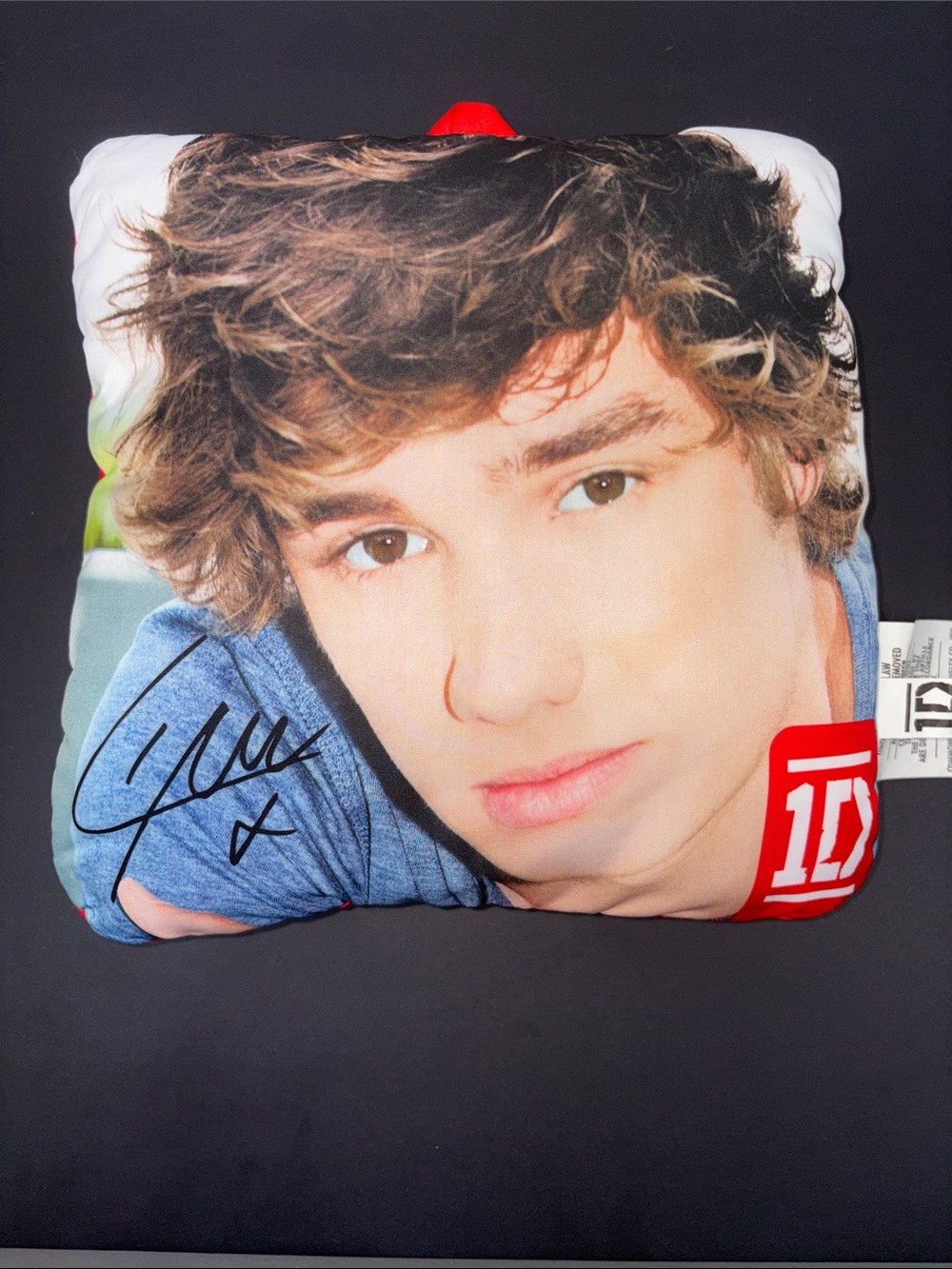 1D Liam Payne Face Autograph Pillow Decoration 2012 One Direction